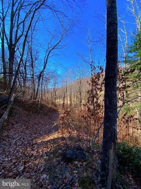 Etlan Rd, Etlan, VA 22719 photo 45