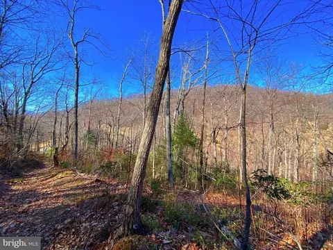 Etlan Rd, Etlan, VA 22719 photo 43