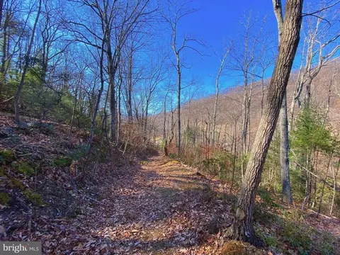 Etlan Rd, Etlan, VA 22719 photo 22