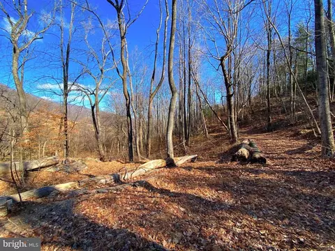 Etlan Rd, Etlan, VA 22719 photo 17