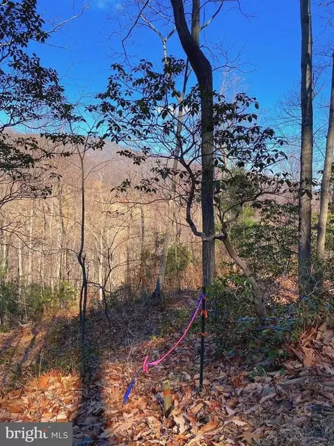 Etlan Rd, Etlan, VA 22719 photo 41
