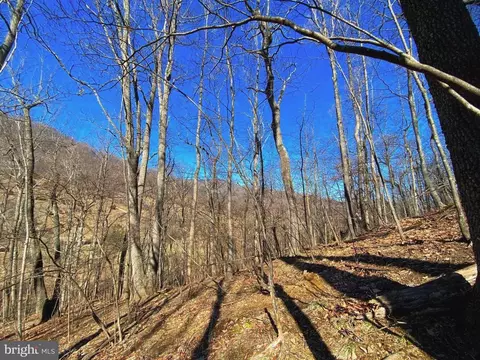 Etlan Rd, Etlan, VA 22719 photo 34