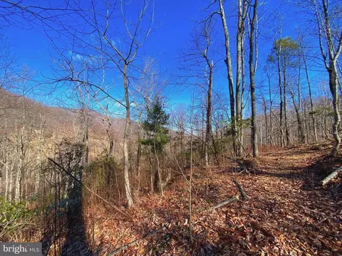 Etlan Rd, Etlan, VA 22719 photo 23