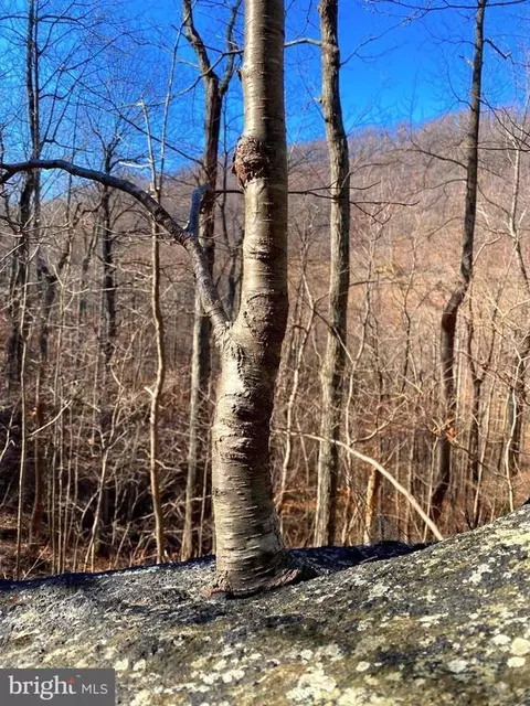 Etlan Rd, Etlan, VA 22719 photo 30