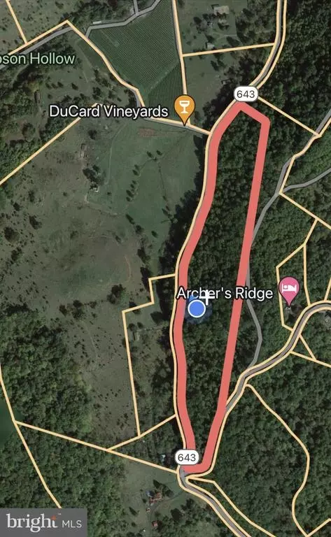 Etlan Rd, Etlan, VA 22719 photo 52
