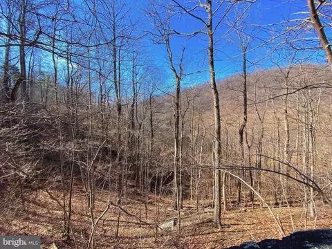 Etlan Rd, Etlan, VA 22719 photo 29