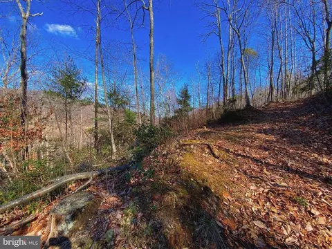 Etlan Rd, Etlan, VA 22719 photo 44