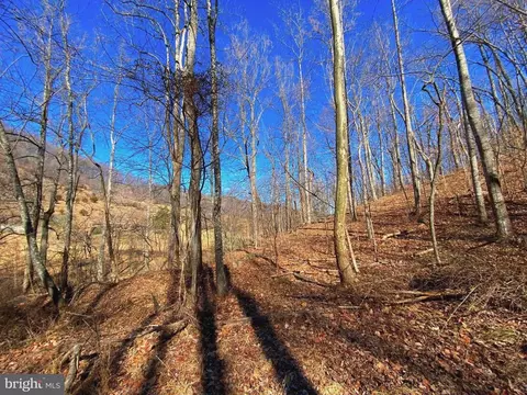 Etlan Rd, Etlan, VA 22719 photo 37
