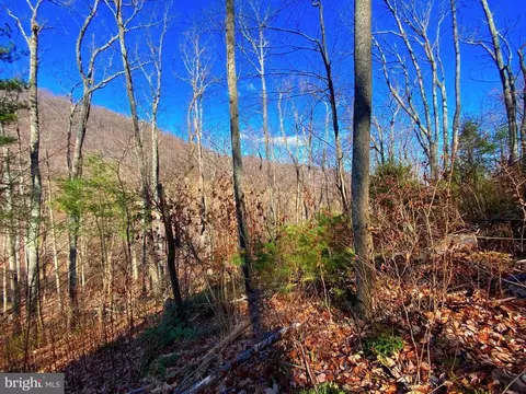 Etlan Rd, Etlan, VA 22719 photo 46