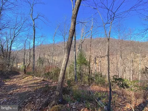 Etlan Rd, Etlan, VA 22719 photo 45