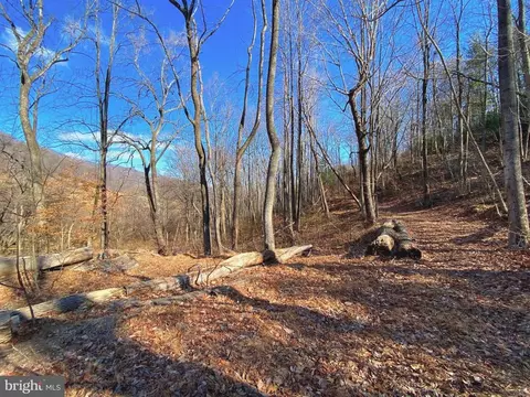 Etlan Rd, Etlan, VA 22719 photo 23