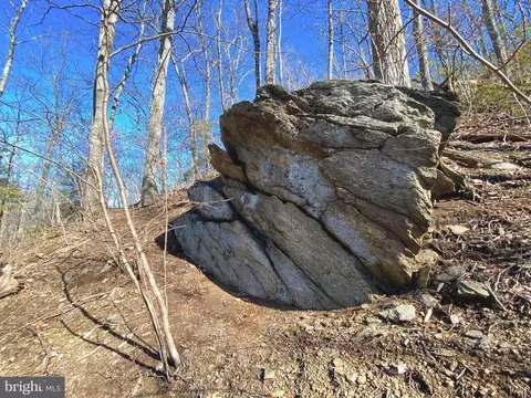 Etlan Rd, Etlan, VA 22719 photo 32