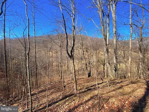 Etlan Rd, Etlan, VA 22719 photo 37