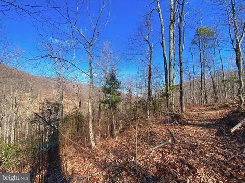 Etlan Rd, Etlan, VA 22719 photo 20