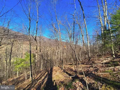 Etlan Rd, Etlan, VA 22719 photo 27