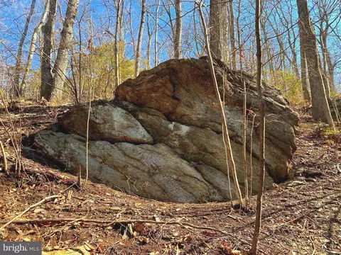 Etlan Rd, Etlan, VA 22719 photo 34