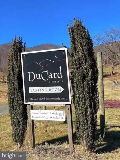 Etlan Rd, Etlan, VA 22719 photo 49
