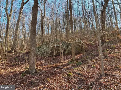 Etlan Rd, Etlan, VA 22719 photo 25