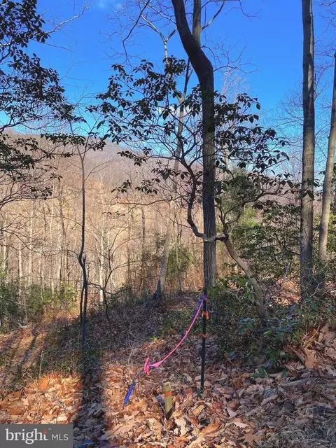 Etlan Rd, Etlan, VA 22719 photo 43