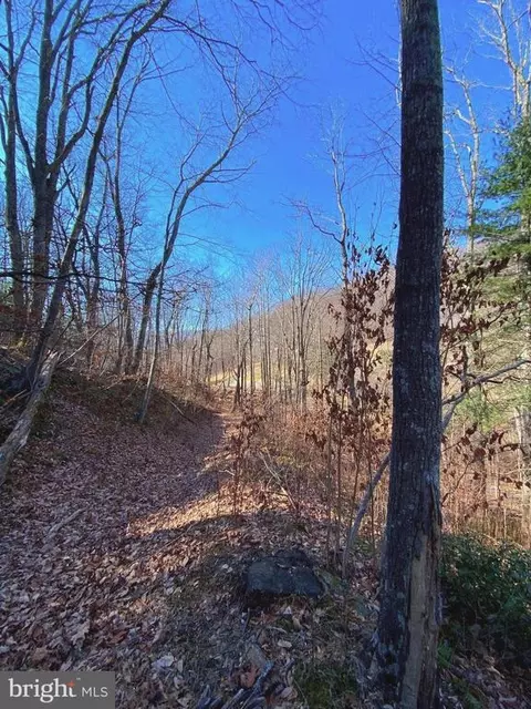Etlan Rd, Etlan, VA 22719 photo 46