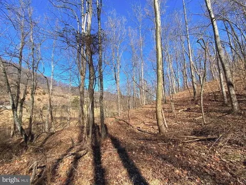 Etlan Rd, Etlan, VA 22719 photo 38