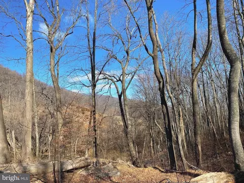 Etlan Rd, Etlan, VA 22719 photo 47