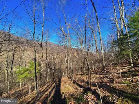 Etlan Rd, Etlan, VA 22719 photo 33