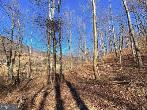 Etlan Rd, Etlan, VA 22719 photo 27