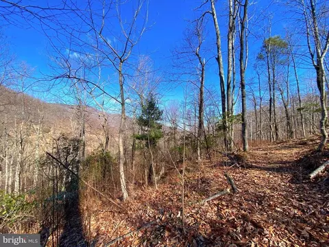 Etlan Rd, Etlan, VA 22719 photo 44