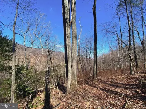Etlan Rd, Etlan, VA 22719 photo 26