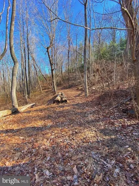 Etlan Rd, Etlan, VA 22719 photo 24