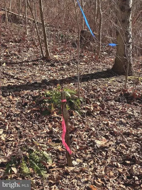 Etlan Rd, Etlan, VA 22719 photo 51