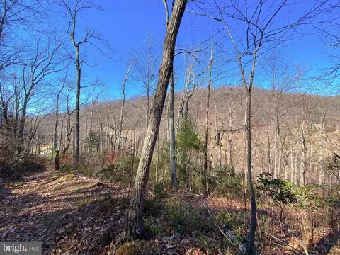 Etlan Rd, Etlan, VA 22719 photo 45