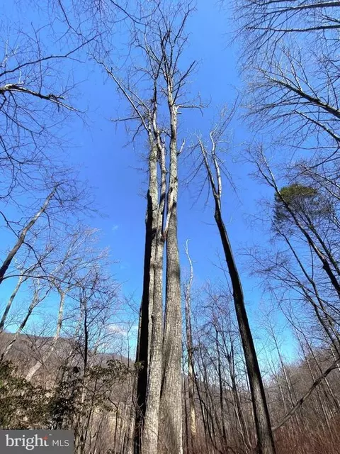 Etlan Rd, Etlan, VA 22719 photo 43