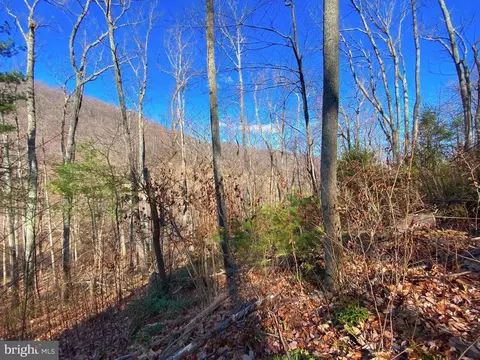 Etlan Rd, Etlan, VA 22719 photo 49
