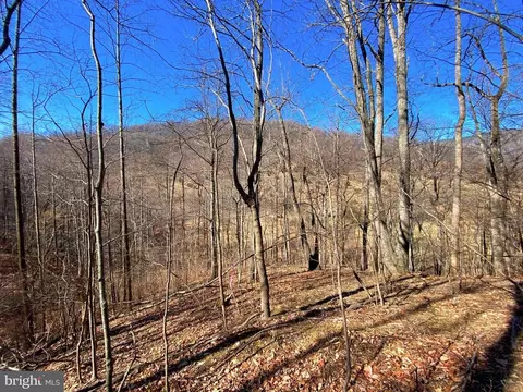 Etlan Rd, Etlan, VA 22719 photo 40