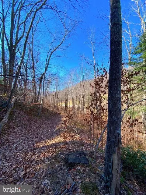 Etlan Rd, Etlan, VA 22719 photo 48