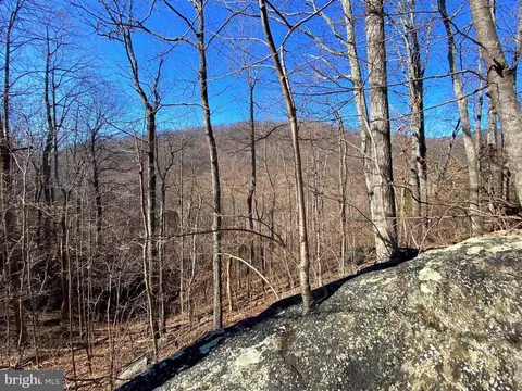 Etlan Rd, Etlan, VA 22719 photo 38