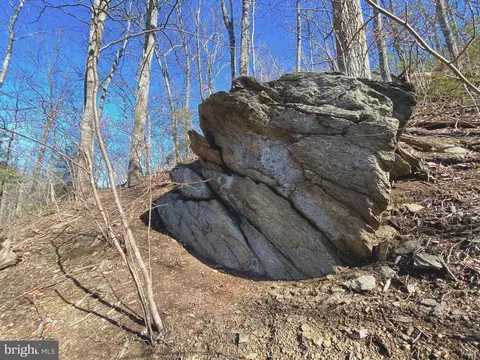 Etlan Rd, Etlan, VA 22719 photo 29