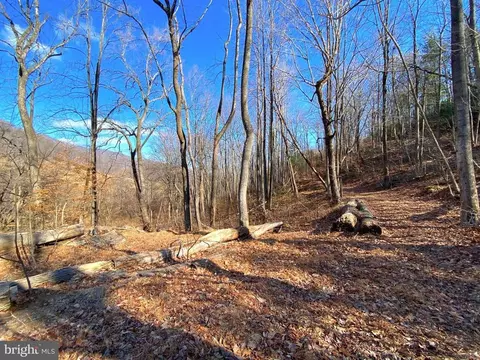 Etlan Rd, Etlan, VA 22719 photo 22