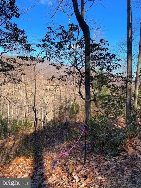 Etlan Rd, Etlan, VA 22719 photo 42