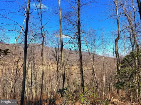 Etlan Rd, Etlan, VA 22719 photo 41