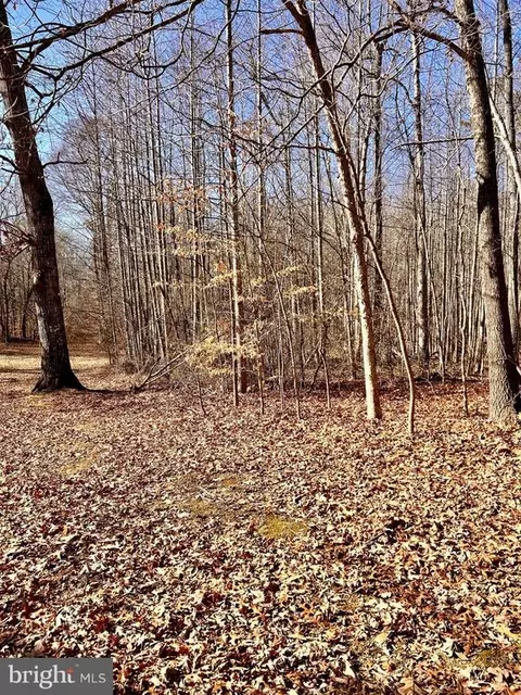 0 Twymans Mill Rd, Orange, VA 22960