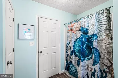 1702 John Tucker Rd, Madison, VA 22727 photo 33