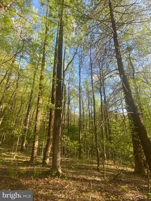 0 Revenooer Rd, Madison, VA 22727