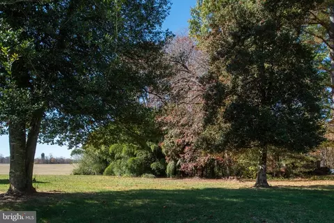 2038 Orange Rd, Pratts, VA 22731 photo 41