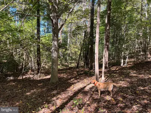 0 Twymans Mill Rd, Madison, VA 22719 photo 21