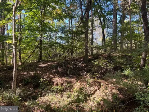 0 Twymans Mill Rd, Madison, VA 22719 photo 16