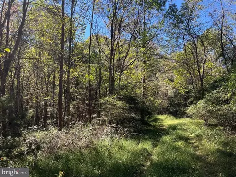 0 Twymans Mill Rd, Madison, VA 22719 photo 25