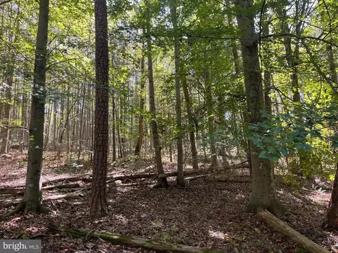 0 Twymans Mill Rd, Madison, VA 22719 photo 19